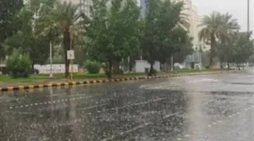 المركز الوطني للأرصاد: رصد سحب رعدية ممطرة ونسبة رطوبة تبلغ 48% في السعودية